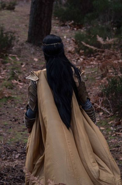 Kamui_shiro - Elrond 