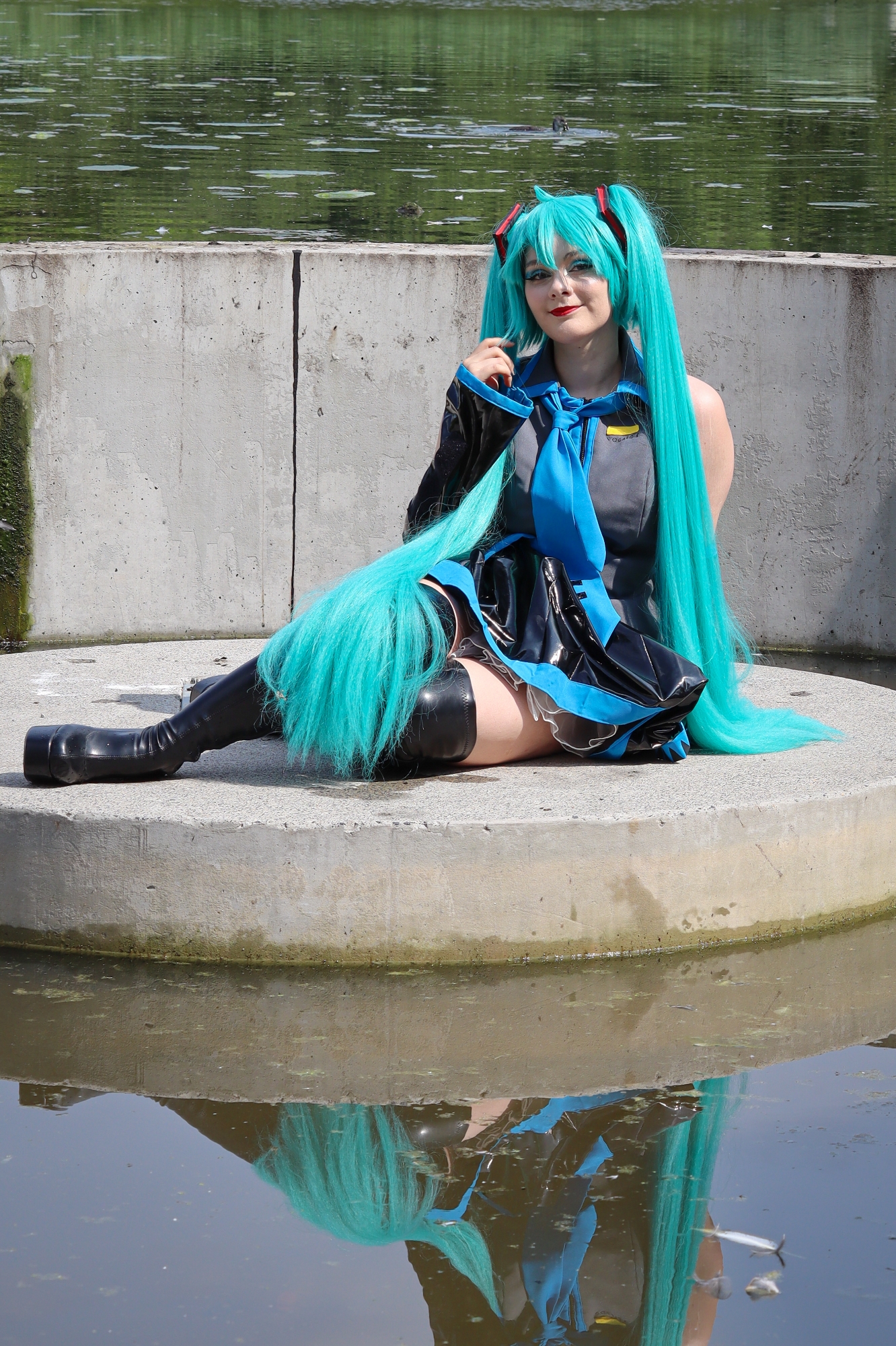 Miku — photo 6