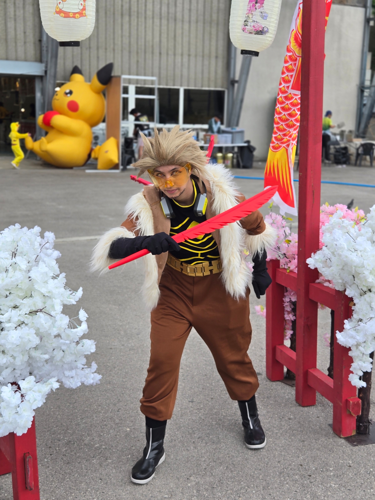 Hawks — photo 92