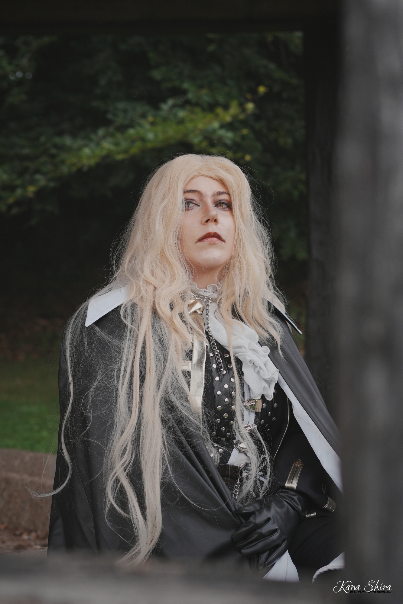 Alucard ! - Photo 14