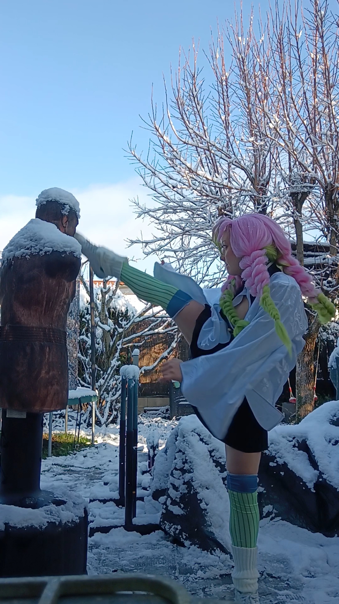 Mitsuri Kanroji - Photo 13