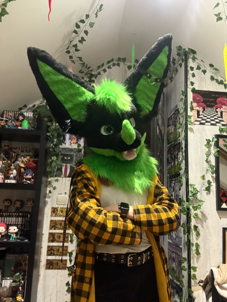 Photos Razzor - Photo 5