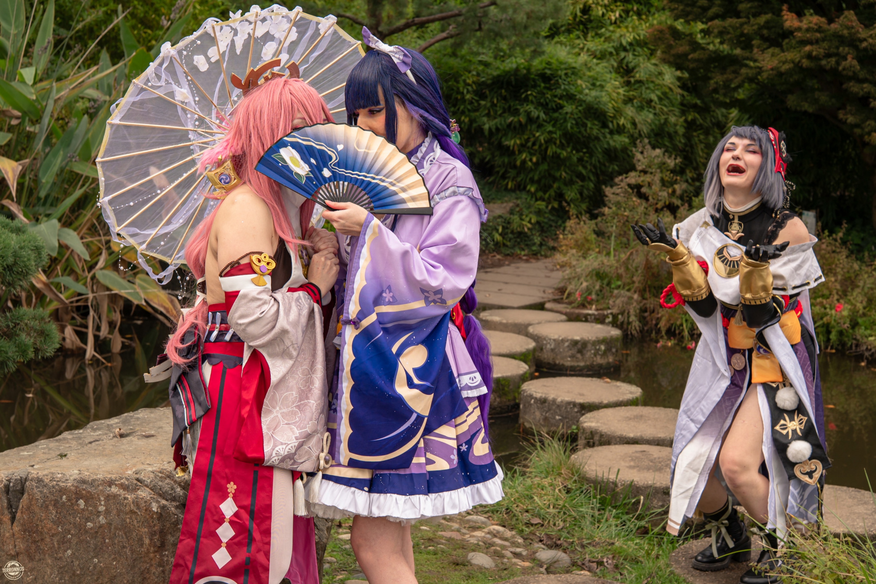 Raiden Shogun - Photo 3