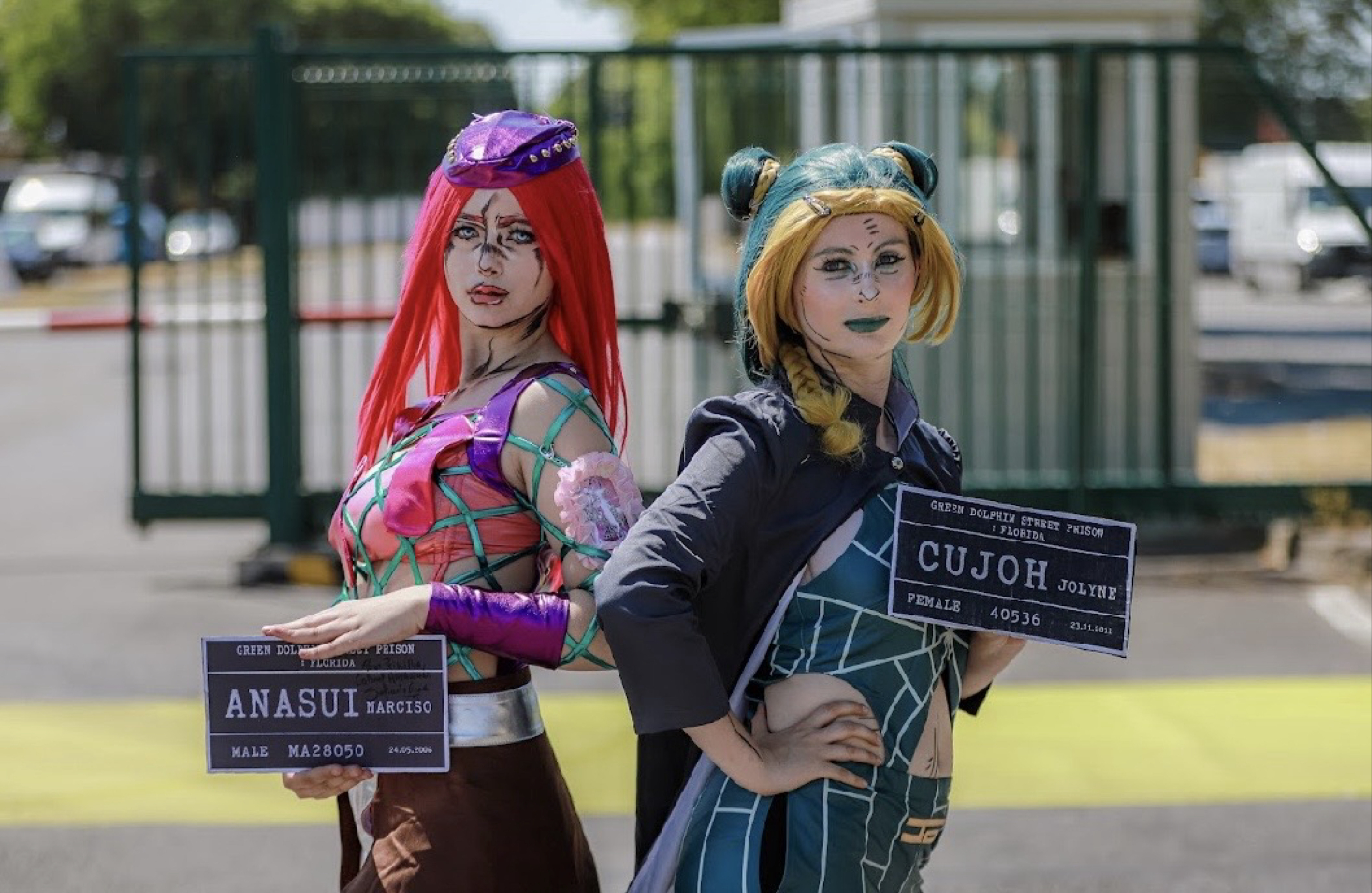 Anasui — photo 16