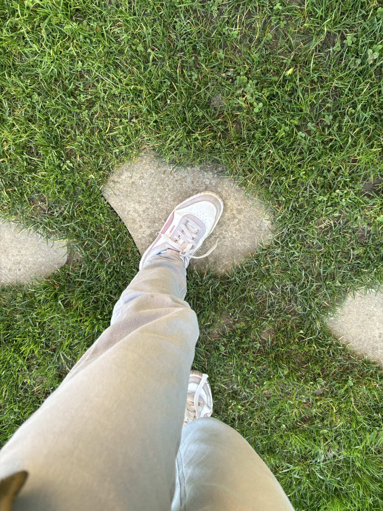 Miyo — photo 23