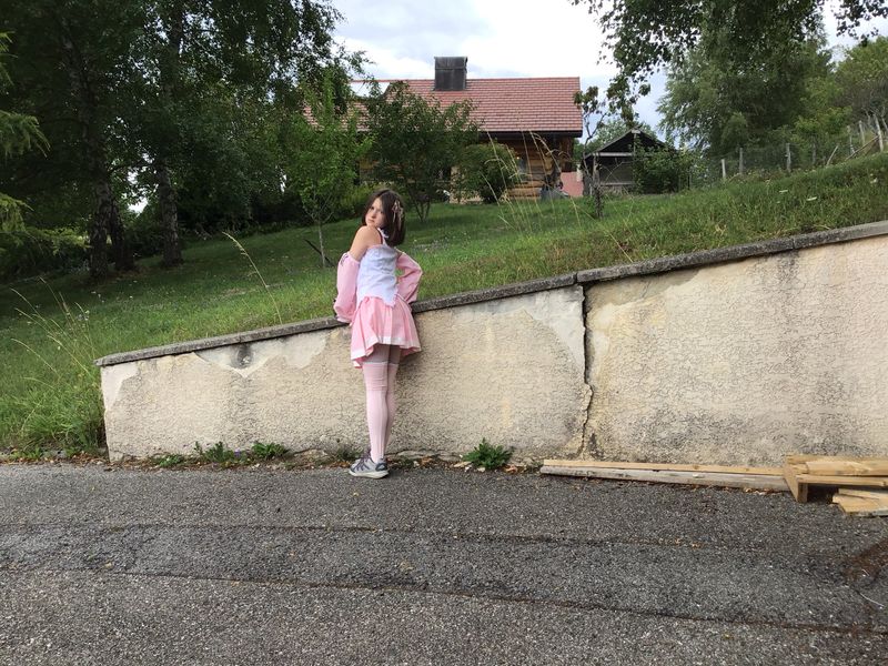 Coey - Sakura miku