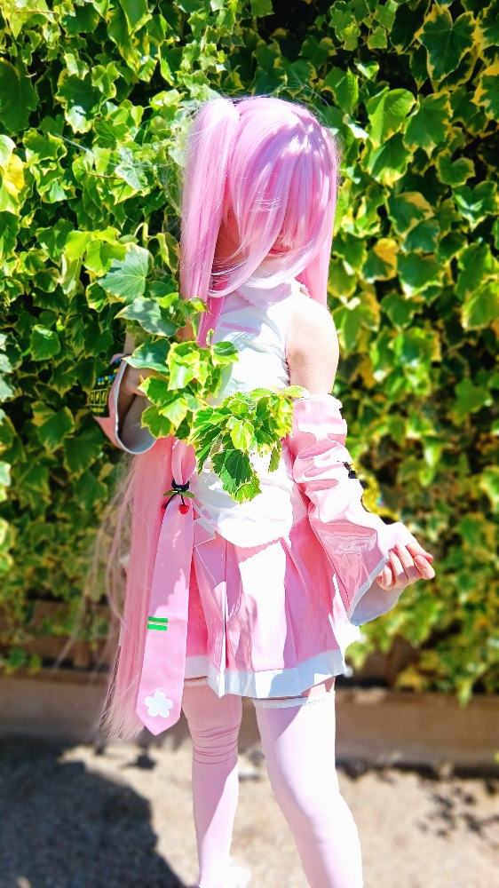 SAKURA MIKU - Photo 2