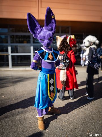 Beerus
