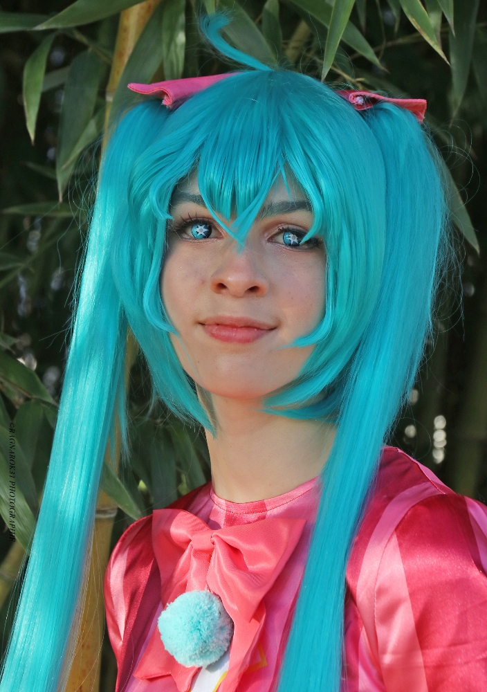 Miku wxs — photo 7