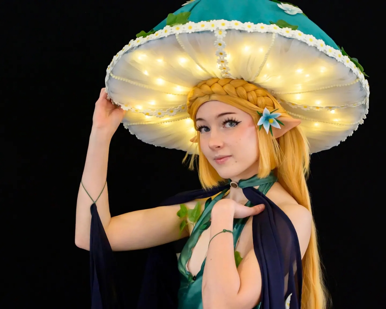 Zelda korogu - Photo 2