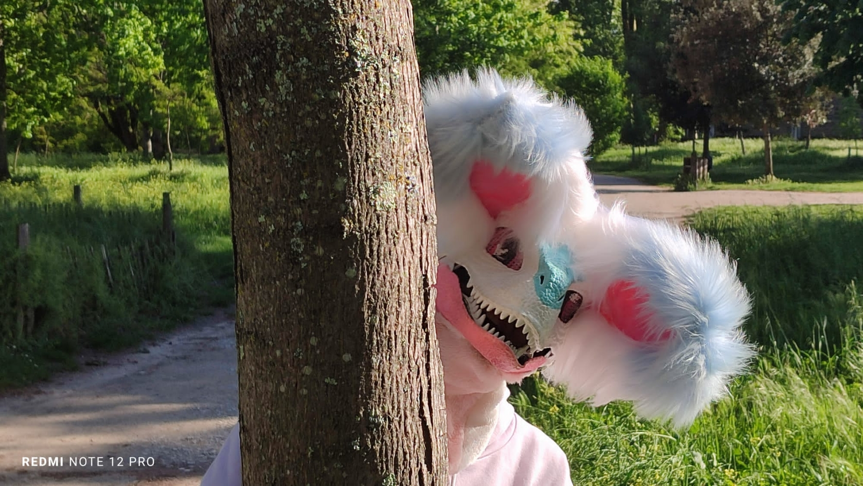 Debut du printemps — photo 46