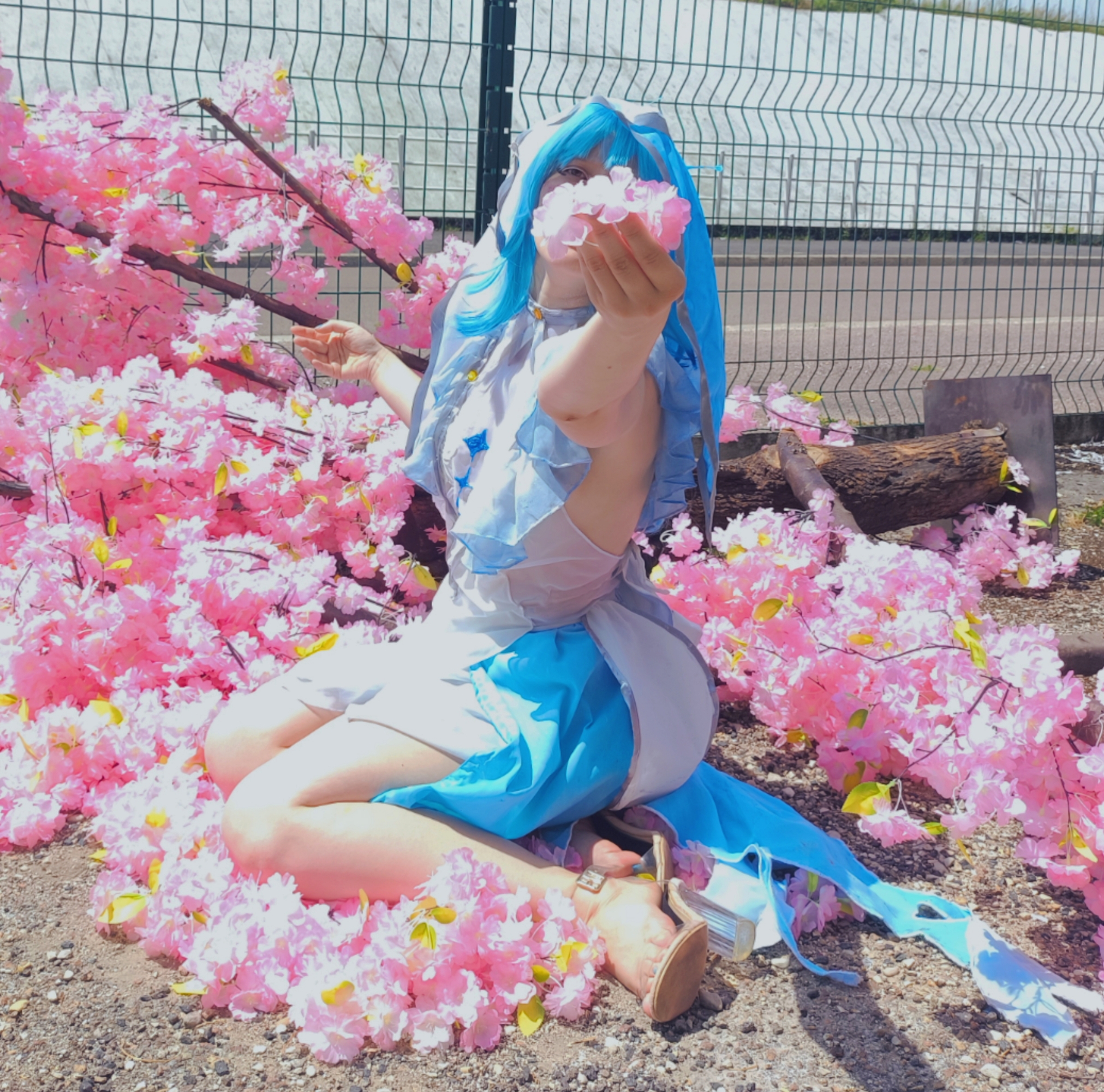 Shorekeeper  - Photo 2