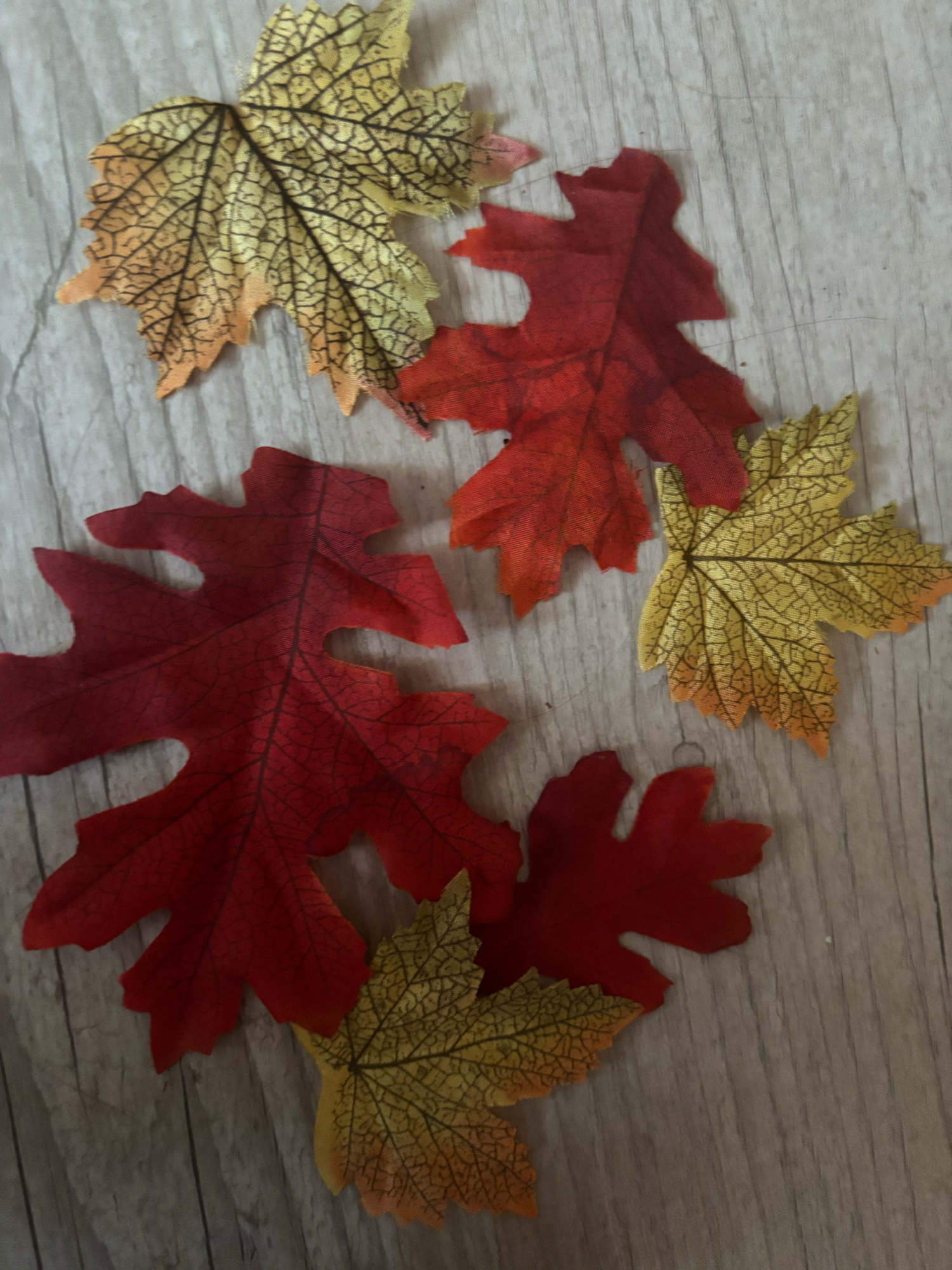 Feuille (Mao Mao) - Photo 3