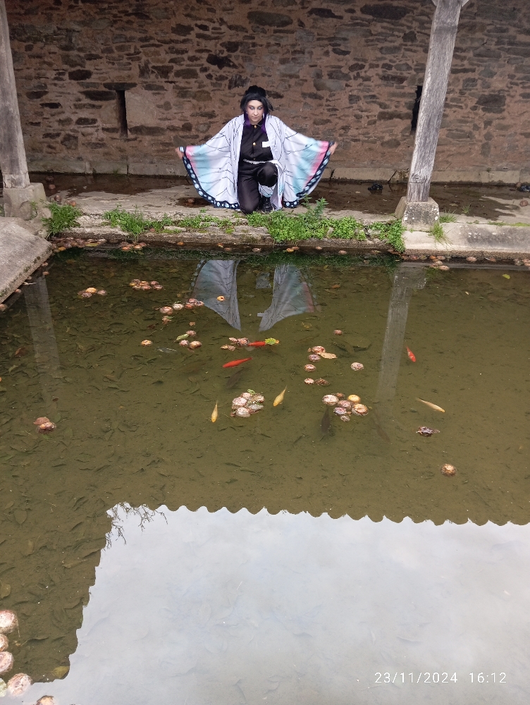 Shinobu KOCHO - Photo 1