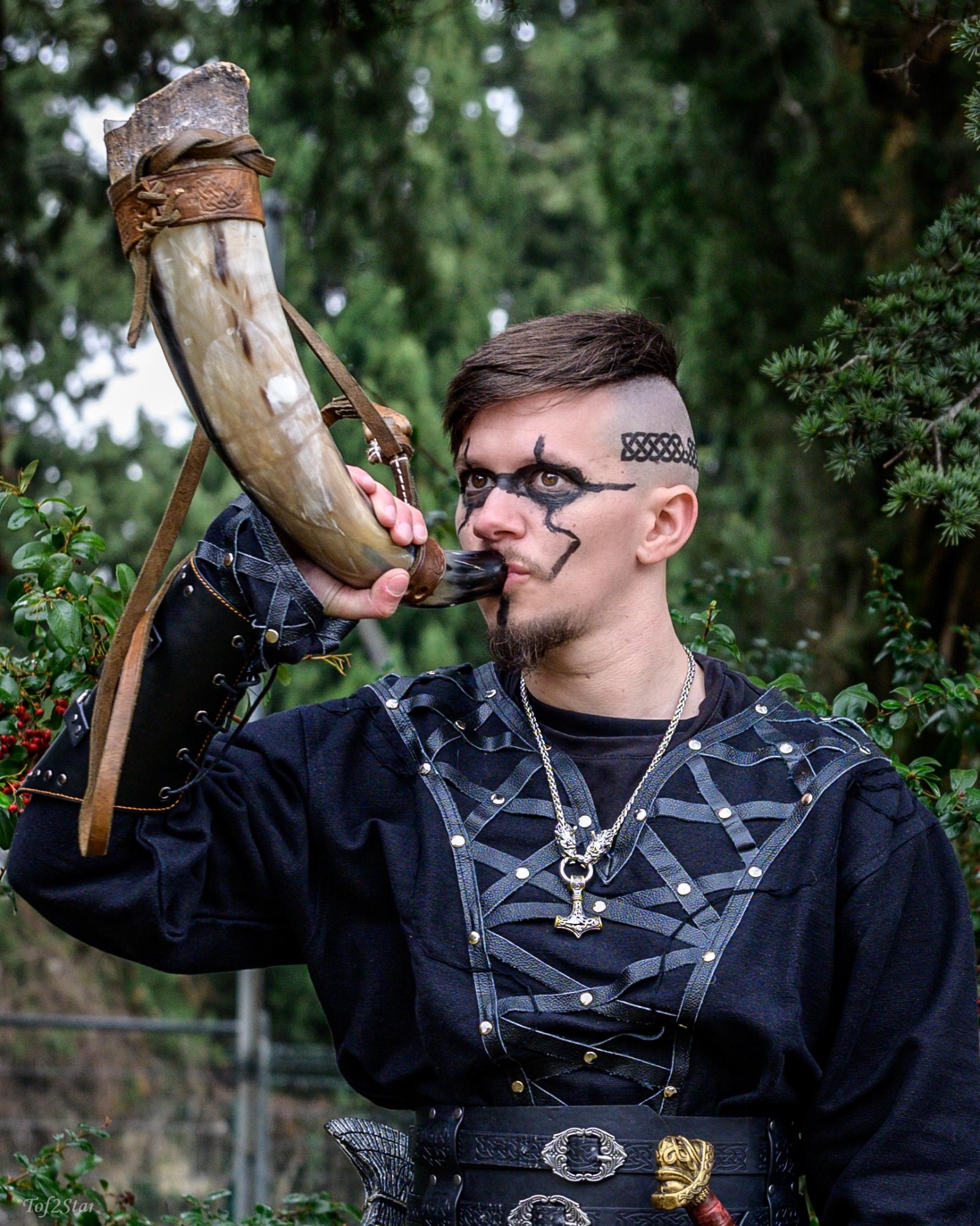 Viking, photo 13
