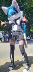 Fursuit preview 2