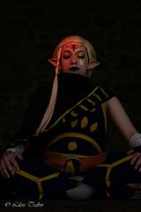 Shoot Skyward Sword preview 3