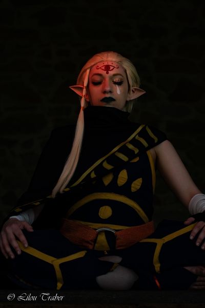 Litchi - Shoot Skyward Sword