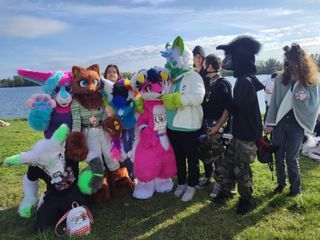 Folie furmeet preview 2