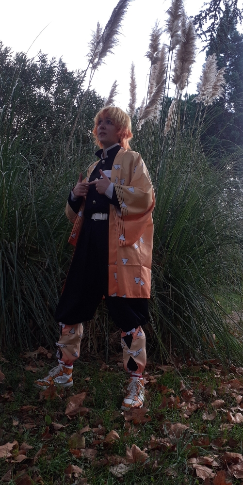 Zenitsu Agatsuma  - Photo 13